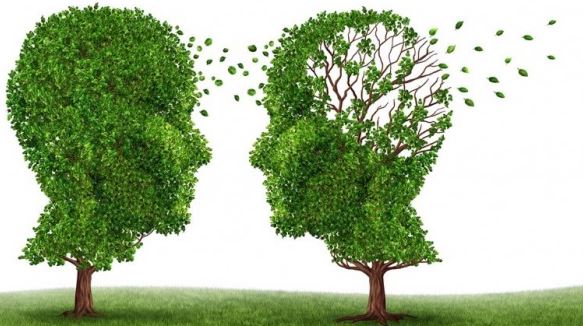 Perbedaan Antara Demensia dan Alzheimer